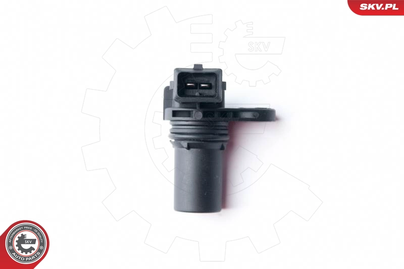 17SKV259