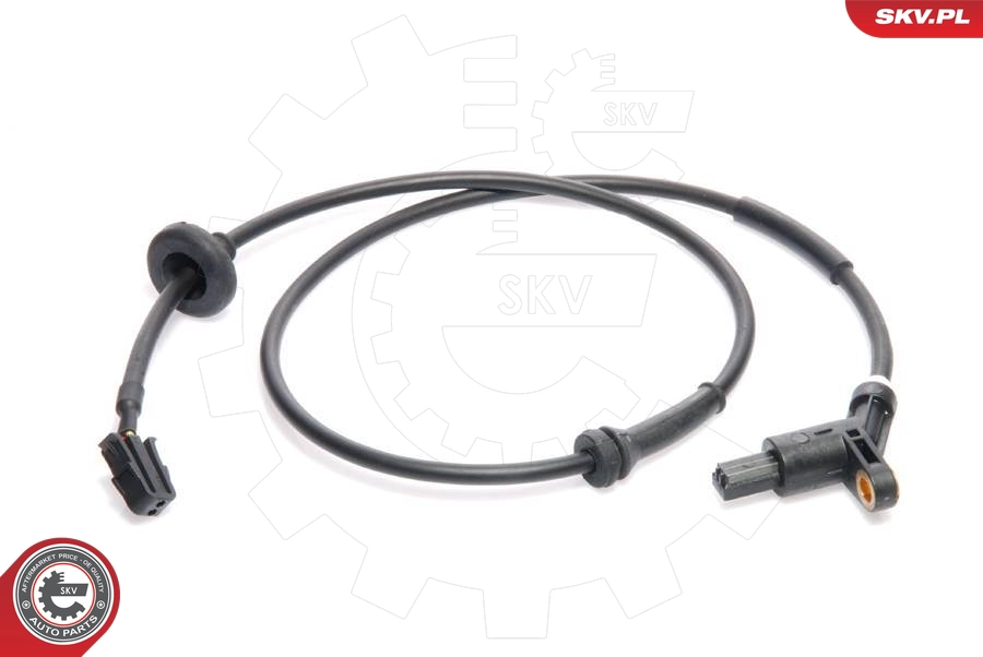 06SKV031