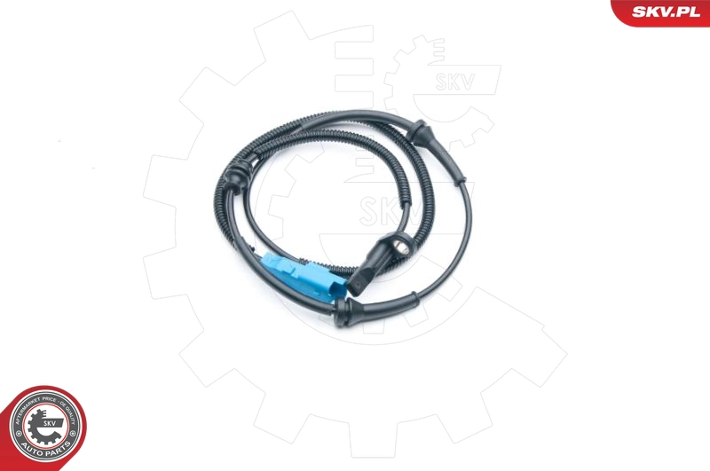 06SKV273