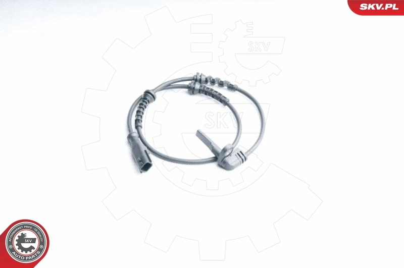 06SKV268
