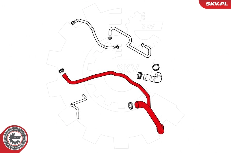 24SKV359