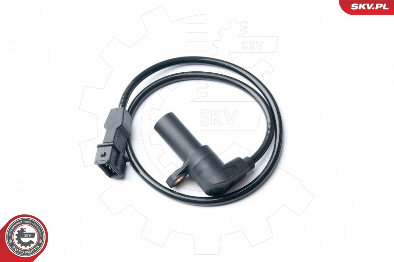 17SKV286