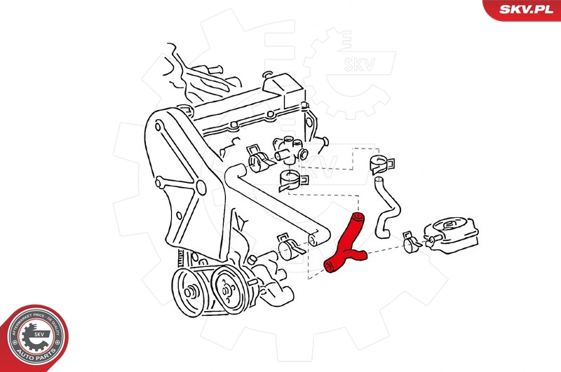 24SKV326