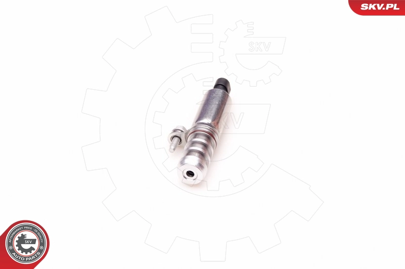39SKV002