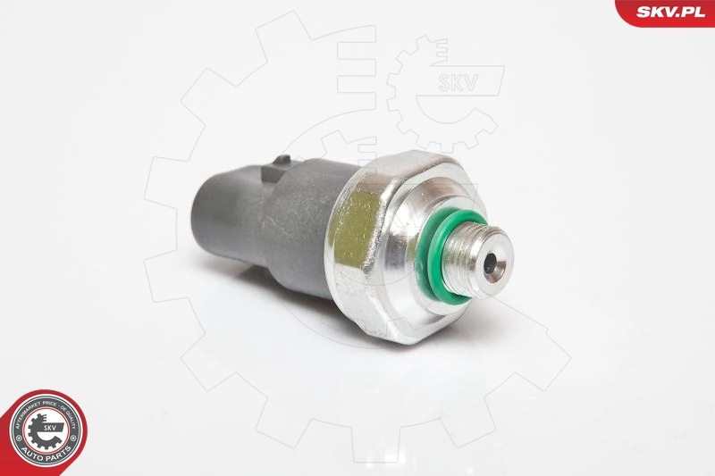 95SKV119