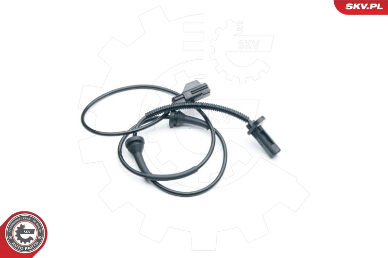 06SKV286