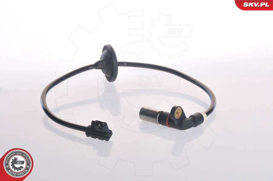 06SKV065