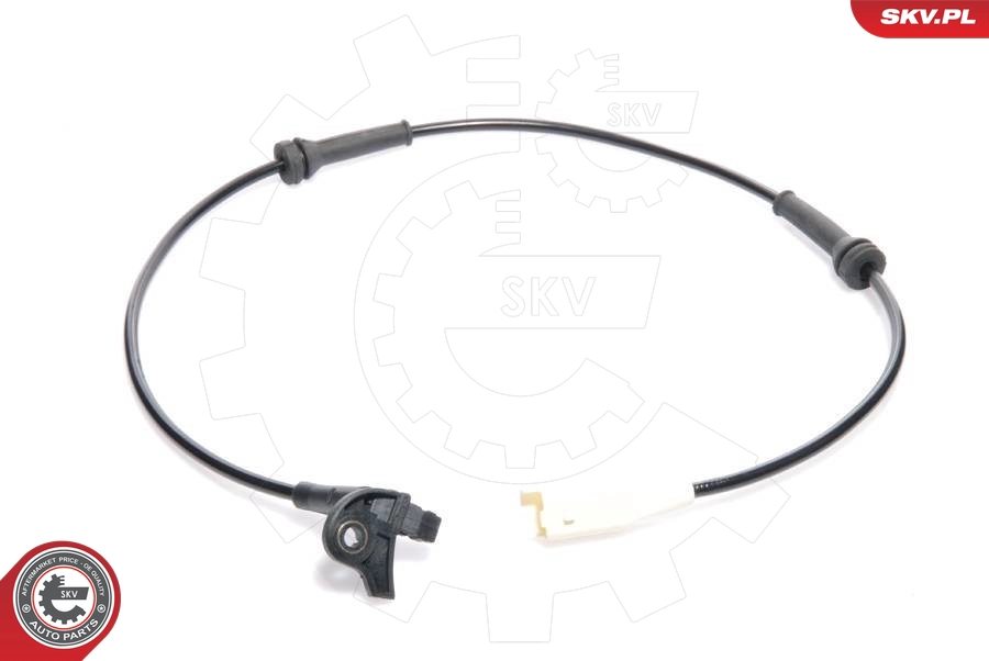 06SKV102