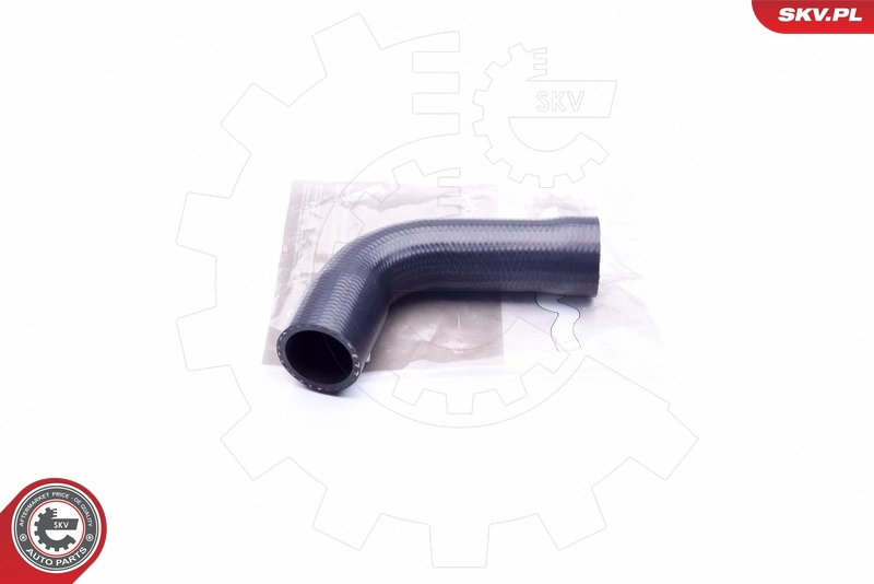 43SKV071