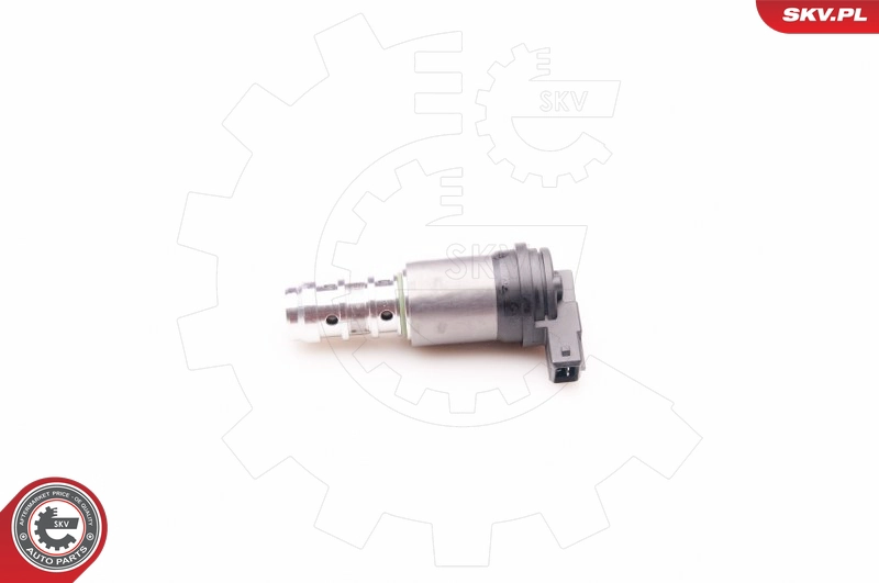 39SKV013