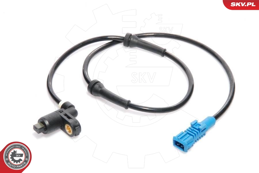 06SKV095