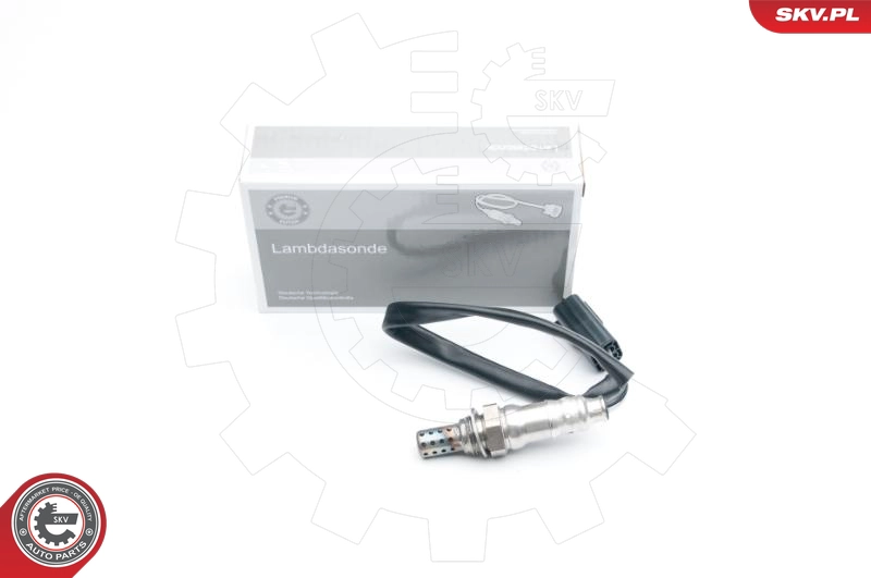 09SKV567