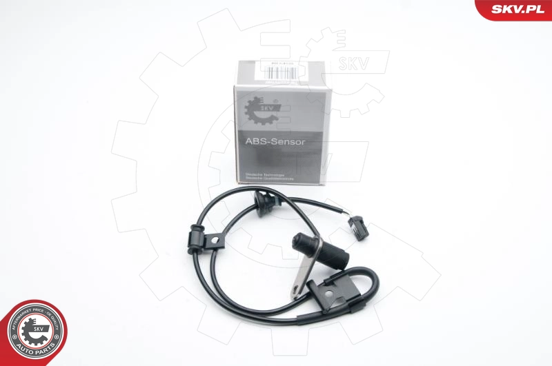 06SKV308