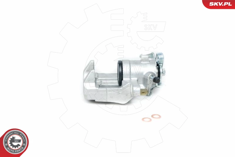 23SKV113