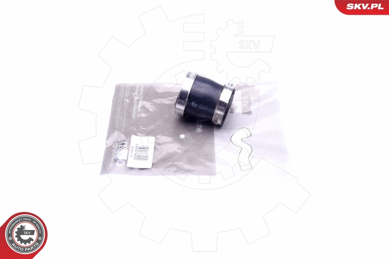 43SKV118