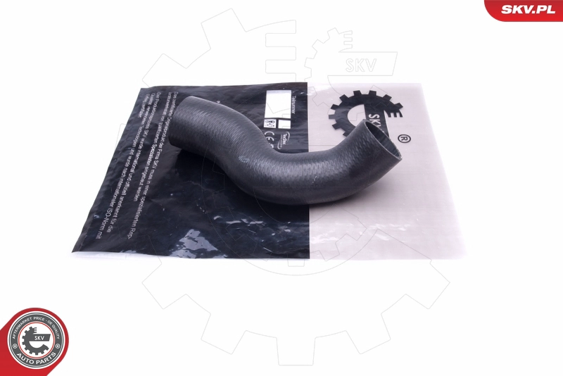 43SKV384