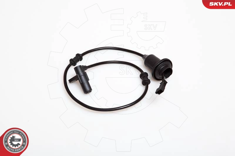 06SKV002