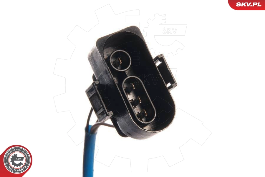 09SKV078