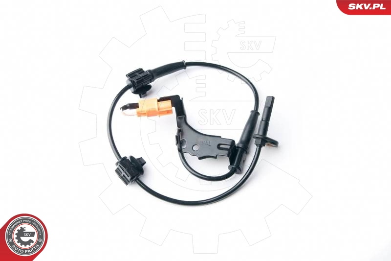 06SKV229
