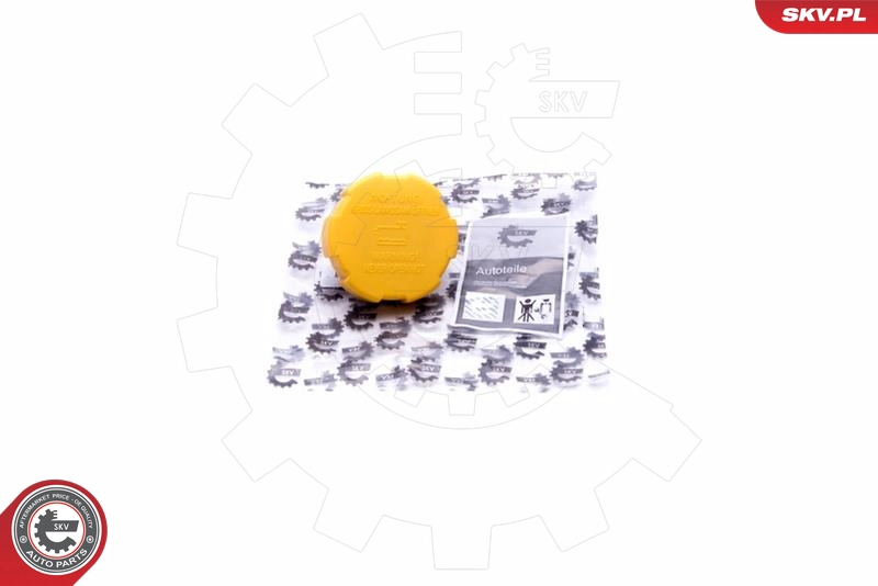 61SKV022