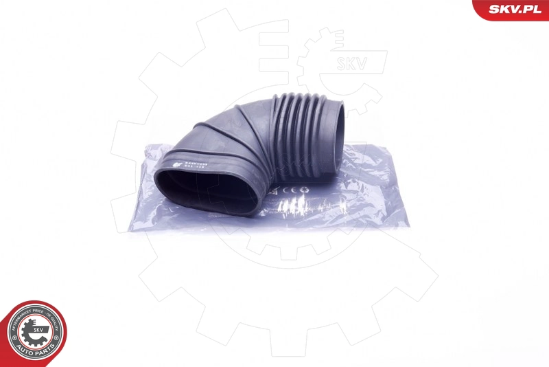 24SKV493