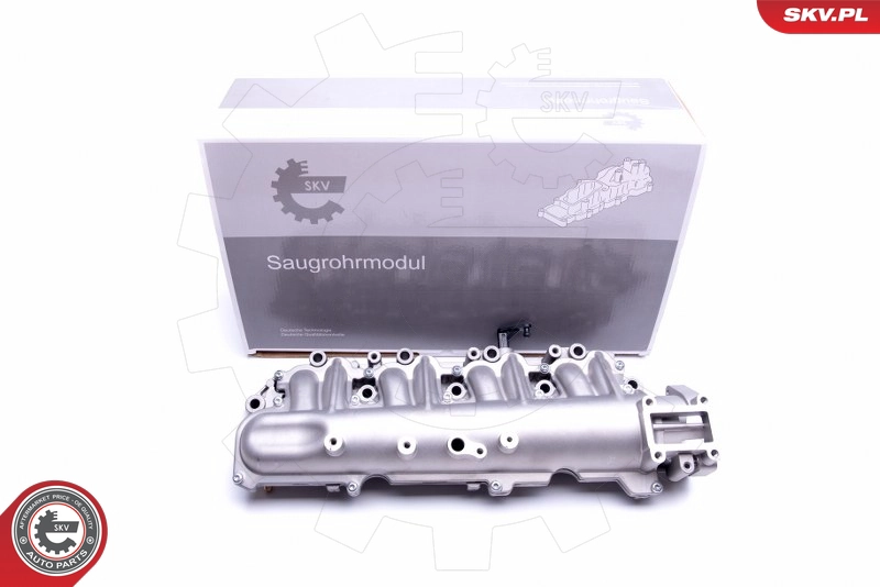 49SKV029