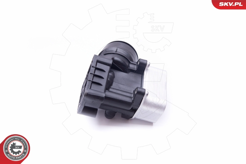 31SKV054