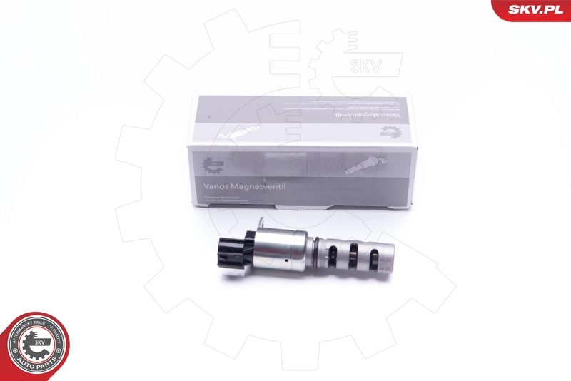39SKV034