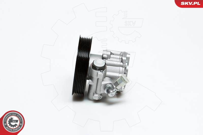 10SKV022