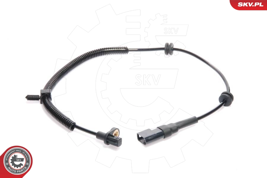 06SKV068