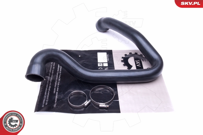 43SKV060