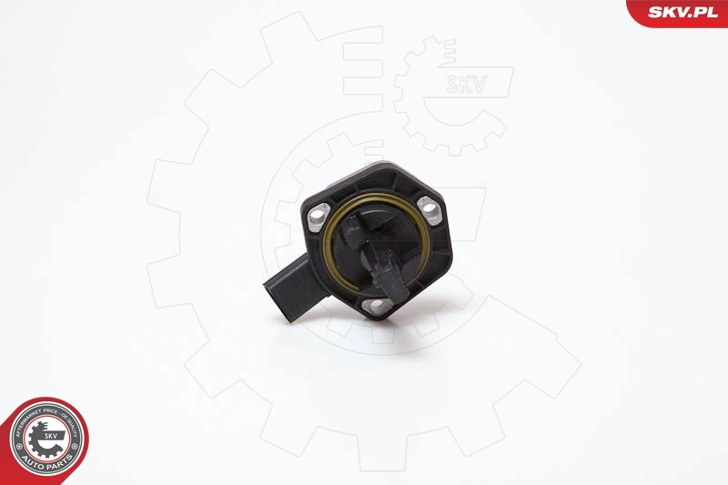 17SKV202