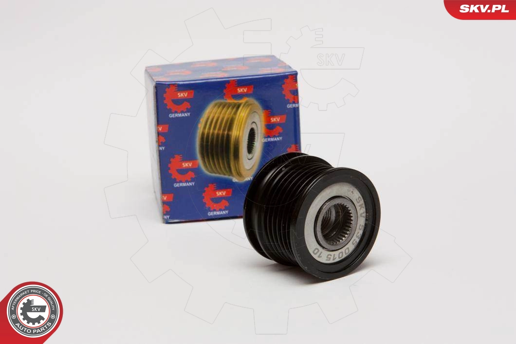 11SKV011