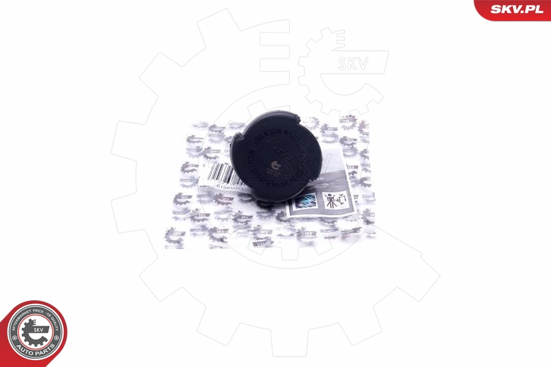 61SKV015