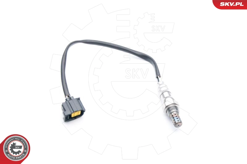 09SKV725