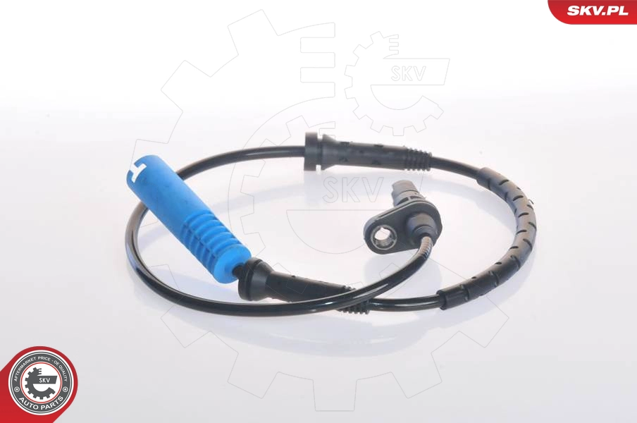 06SKV062