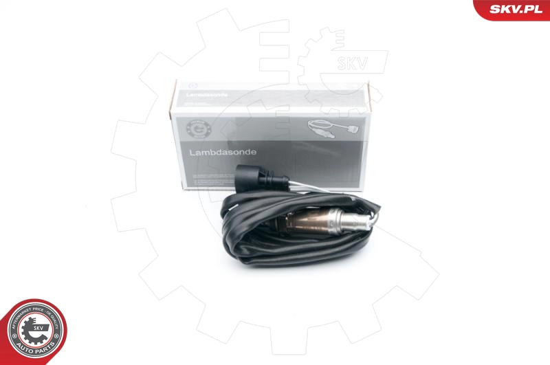 09SKV601