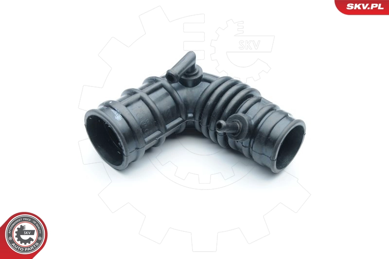 24SKV418