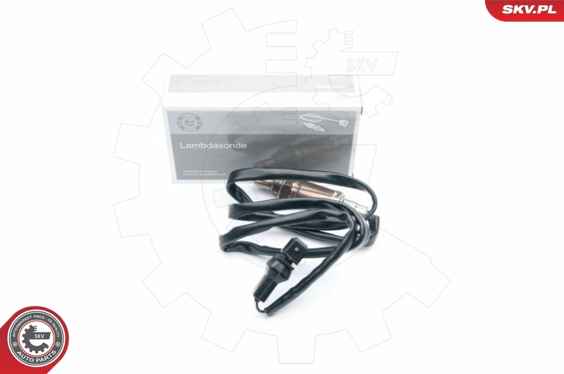 09SKV544