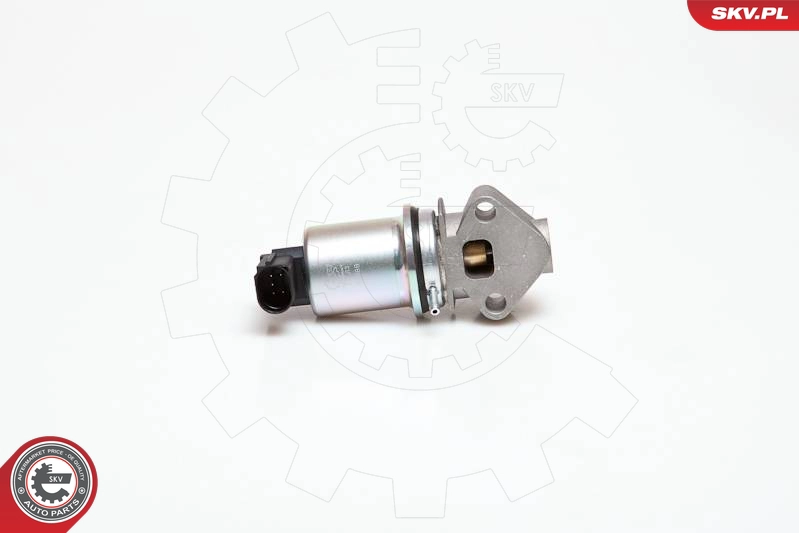 14SKV029