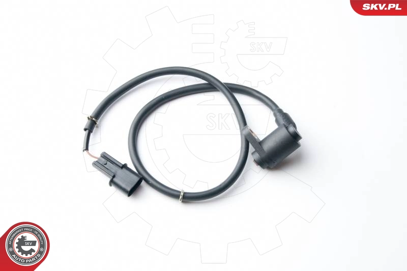06SKV216
