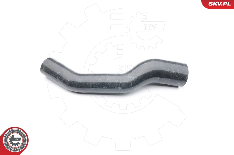 24SKV021