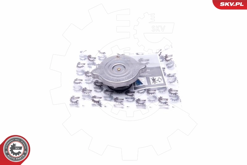 61SKV004