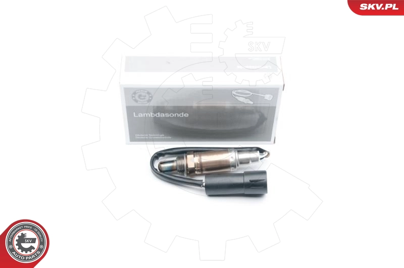 09SKV614