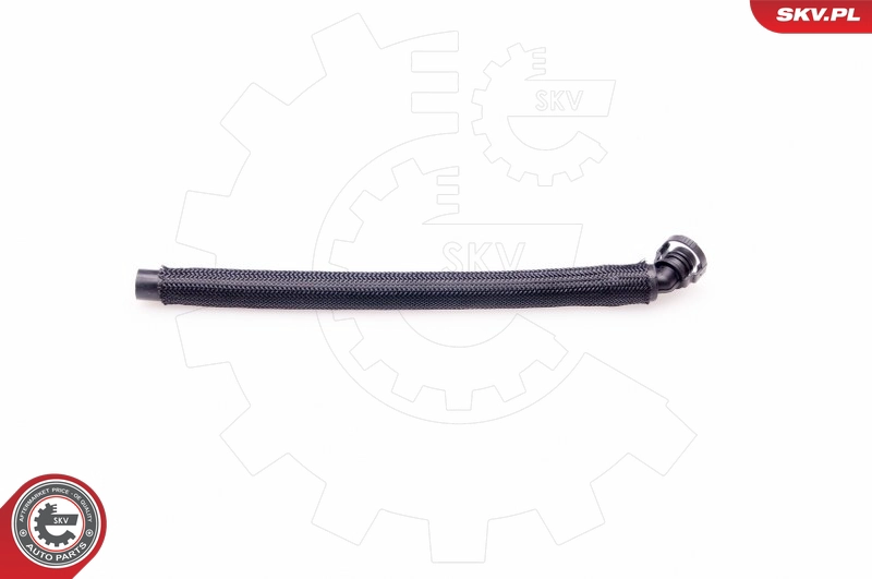 31SKV028