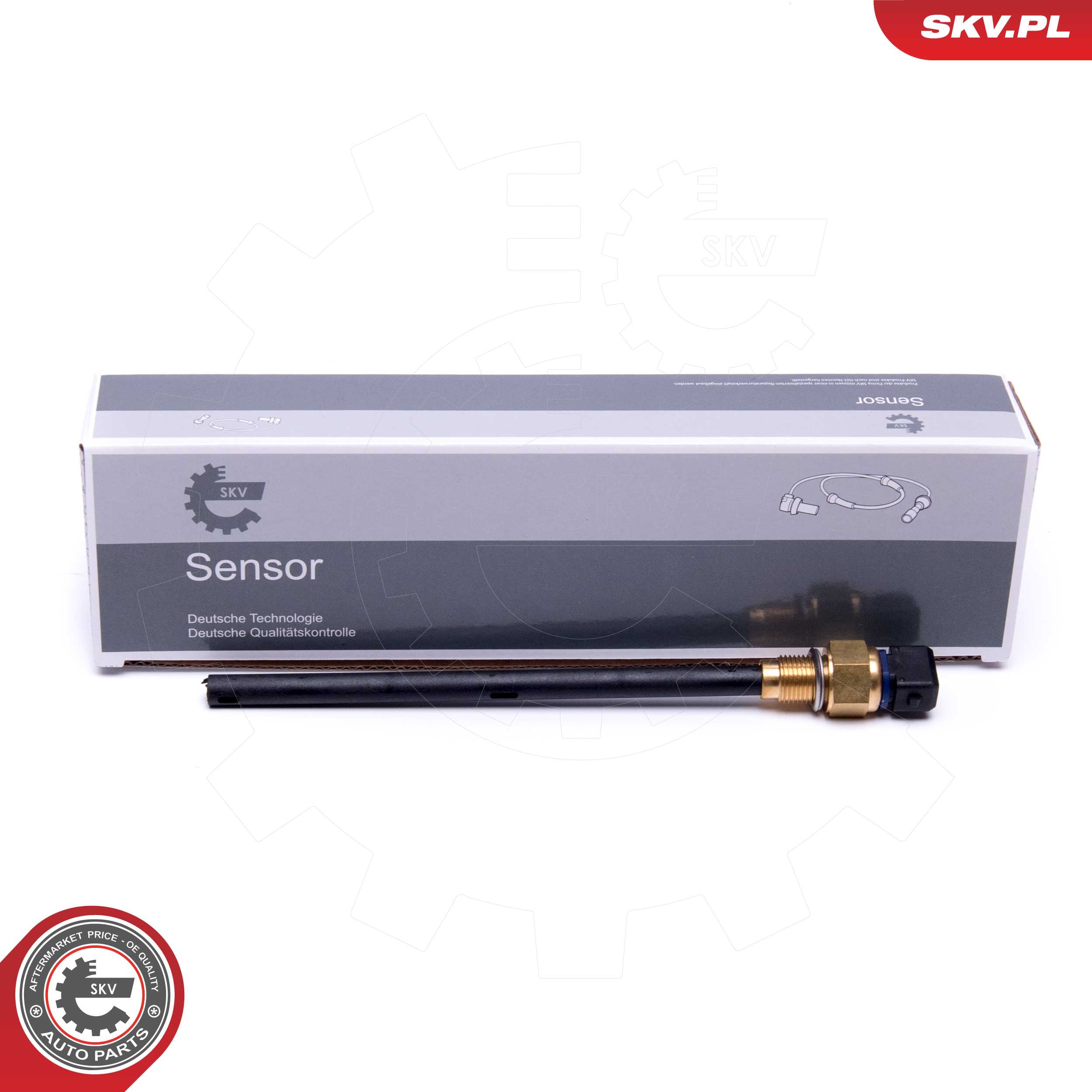 17SKV743