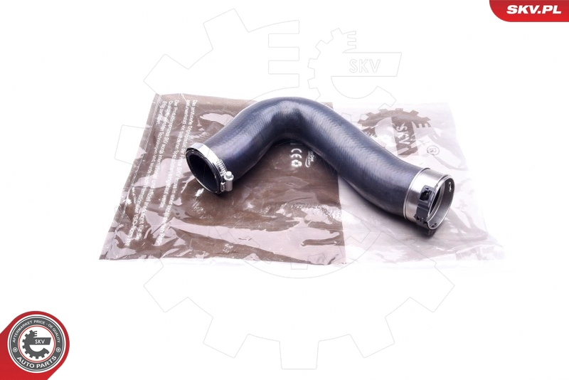 43SKV016