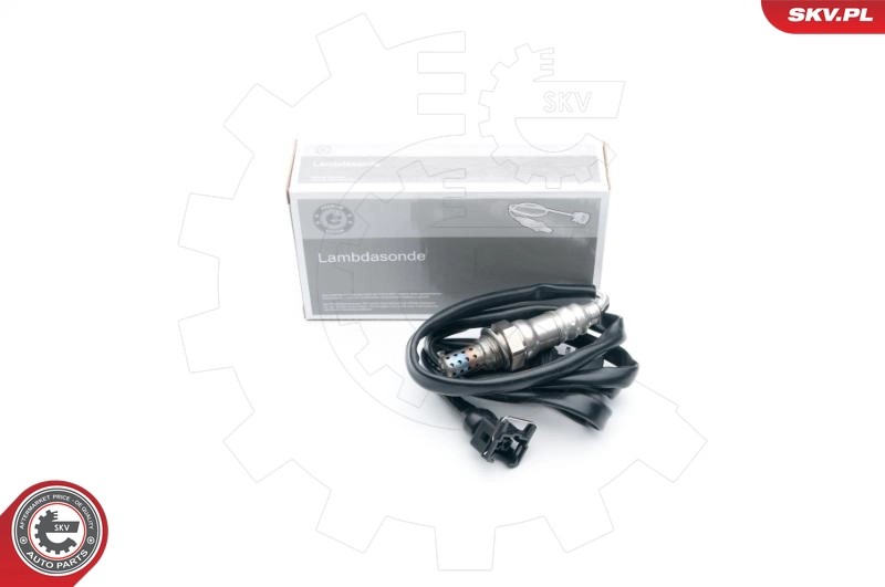 09SKV591