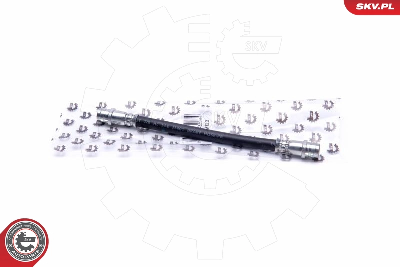 35SKV123
