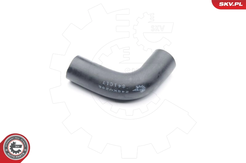 24SKV206